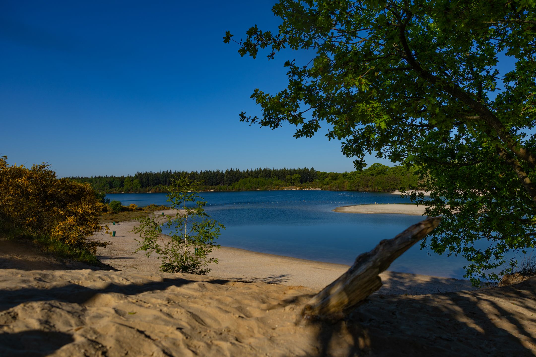 Foto 27 van Houtvester Jansenweg 2-84