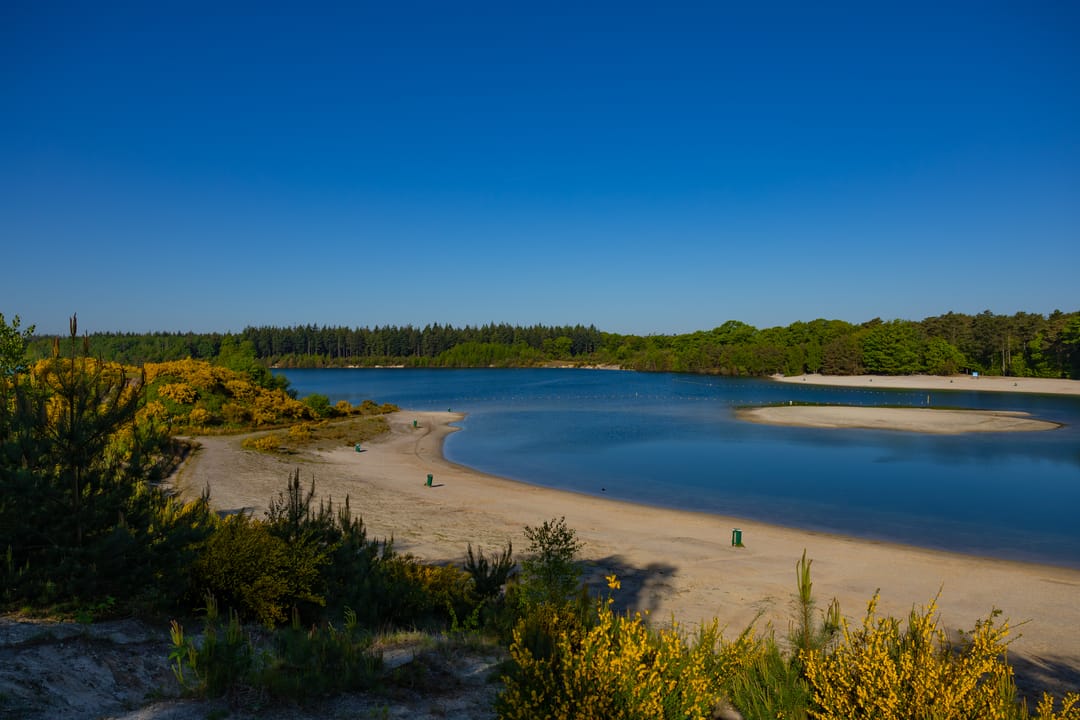 Foto 28 van Houtvester Jansenweg 2-84