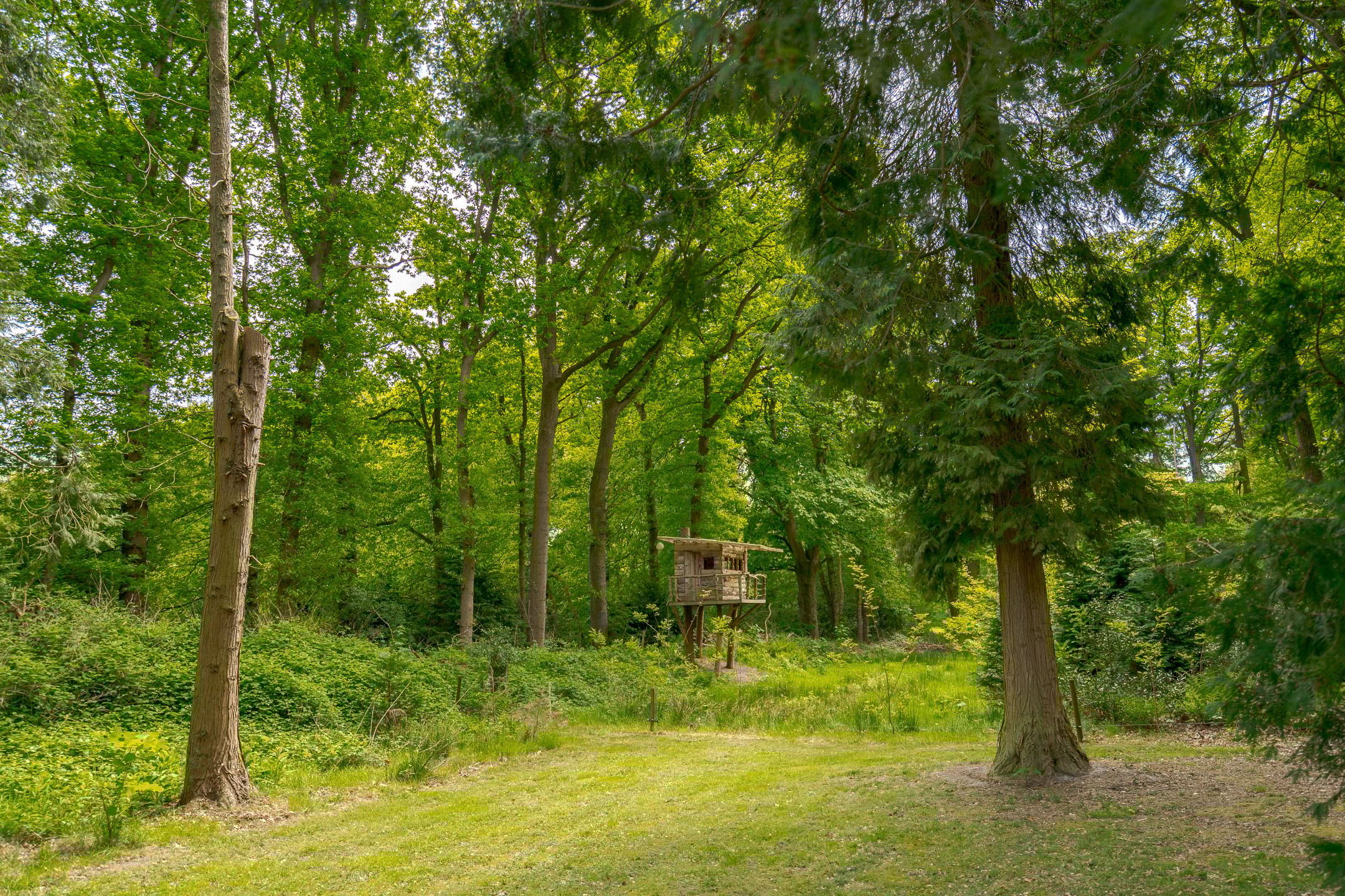 Foto 9 van Prinses Irenelaan 5