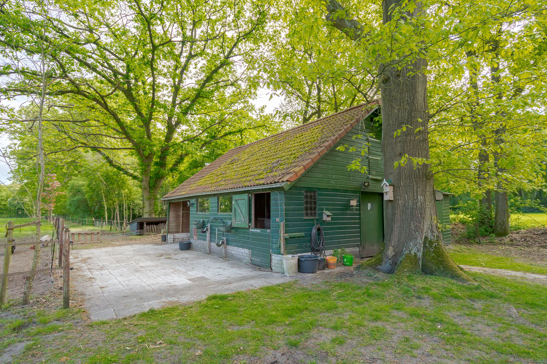 Foto 15 van Prinses Irenelaan 5