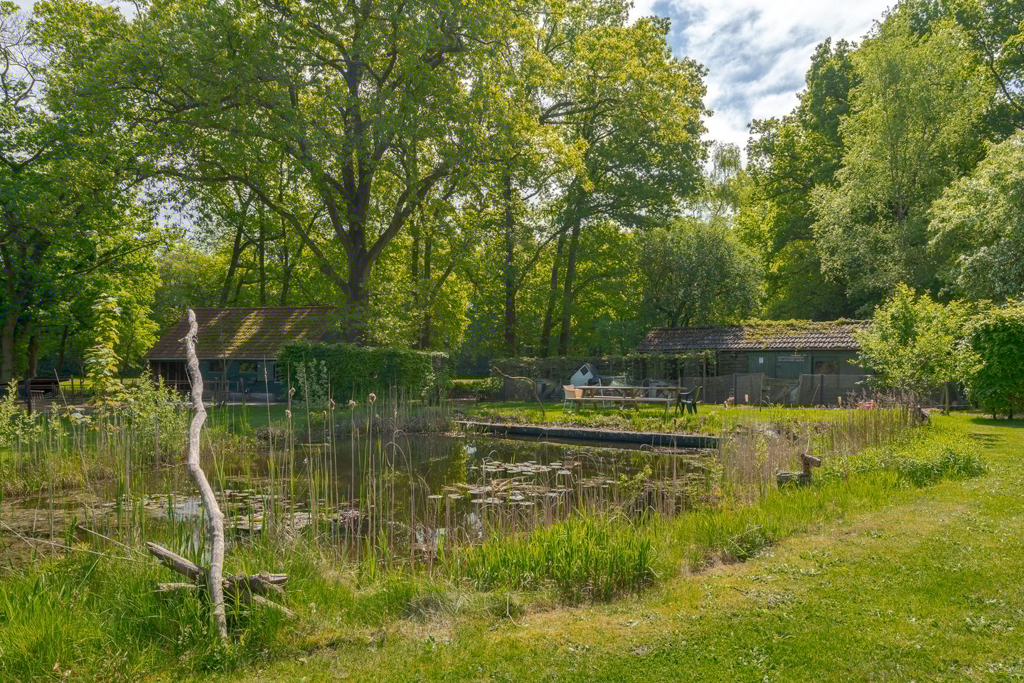 Foto 20 van Prinses Irenelaan 5