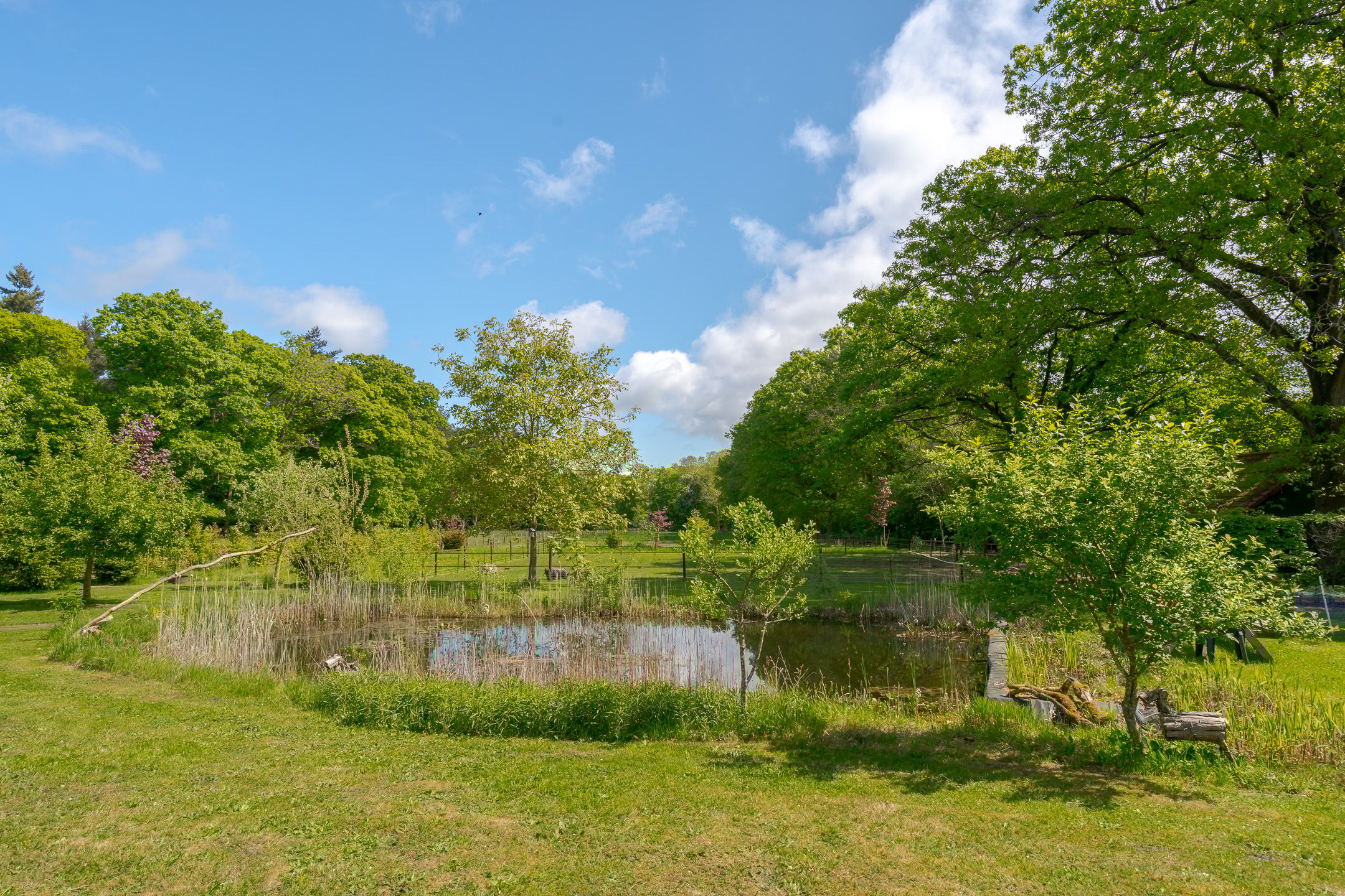 Foto 21 van Prinses Irenelaan 5