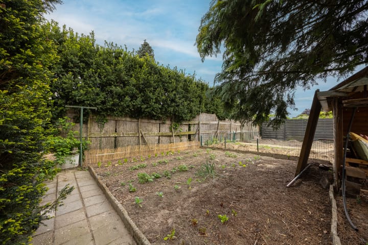 Photo 44 of Koningin Wilhelminastraat 36