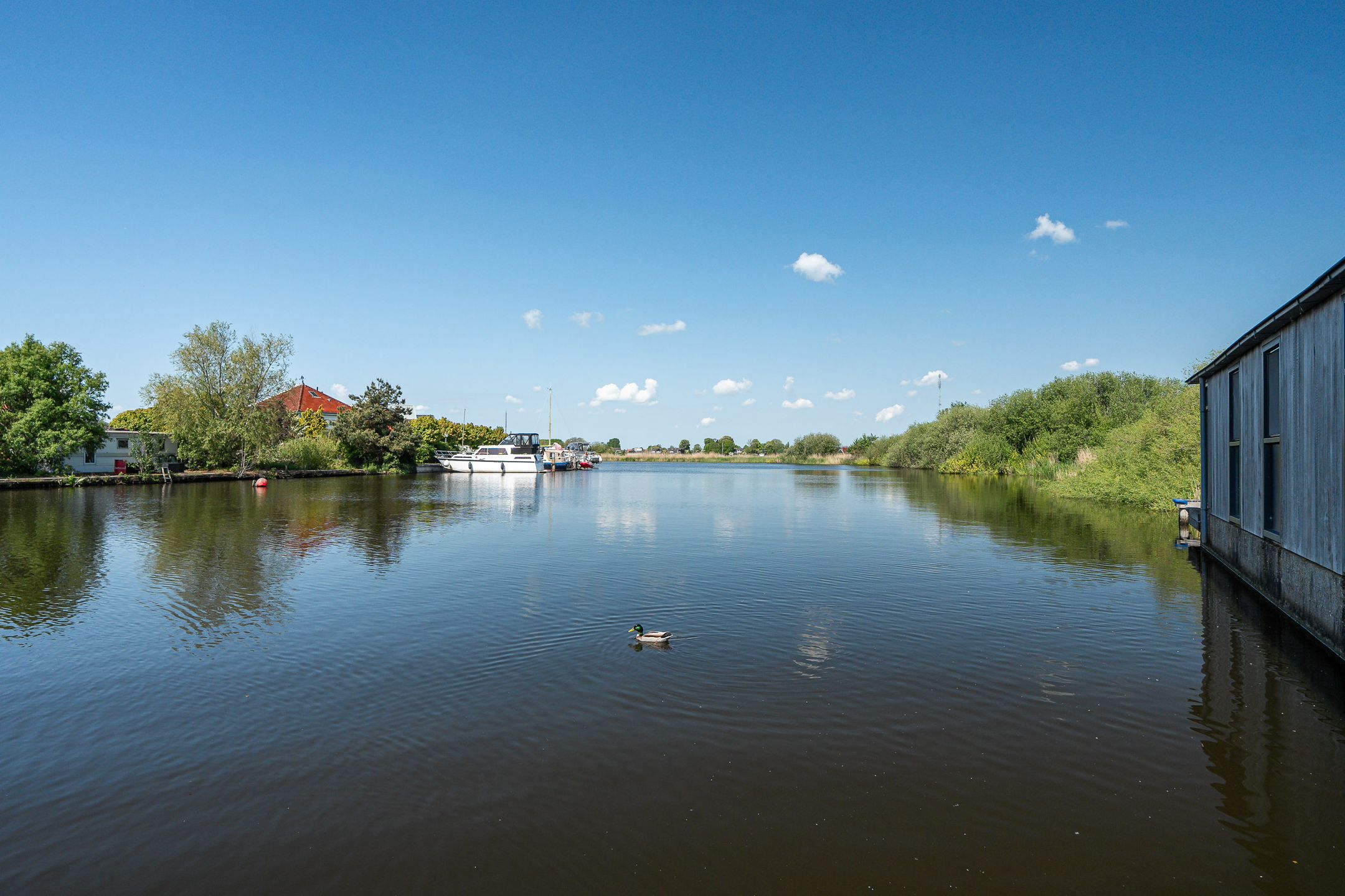 Foto 36 van Ark Nije Boarn