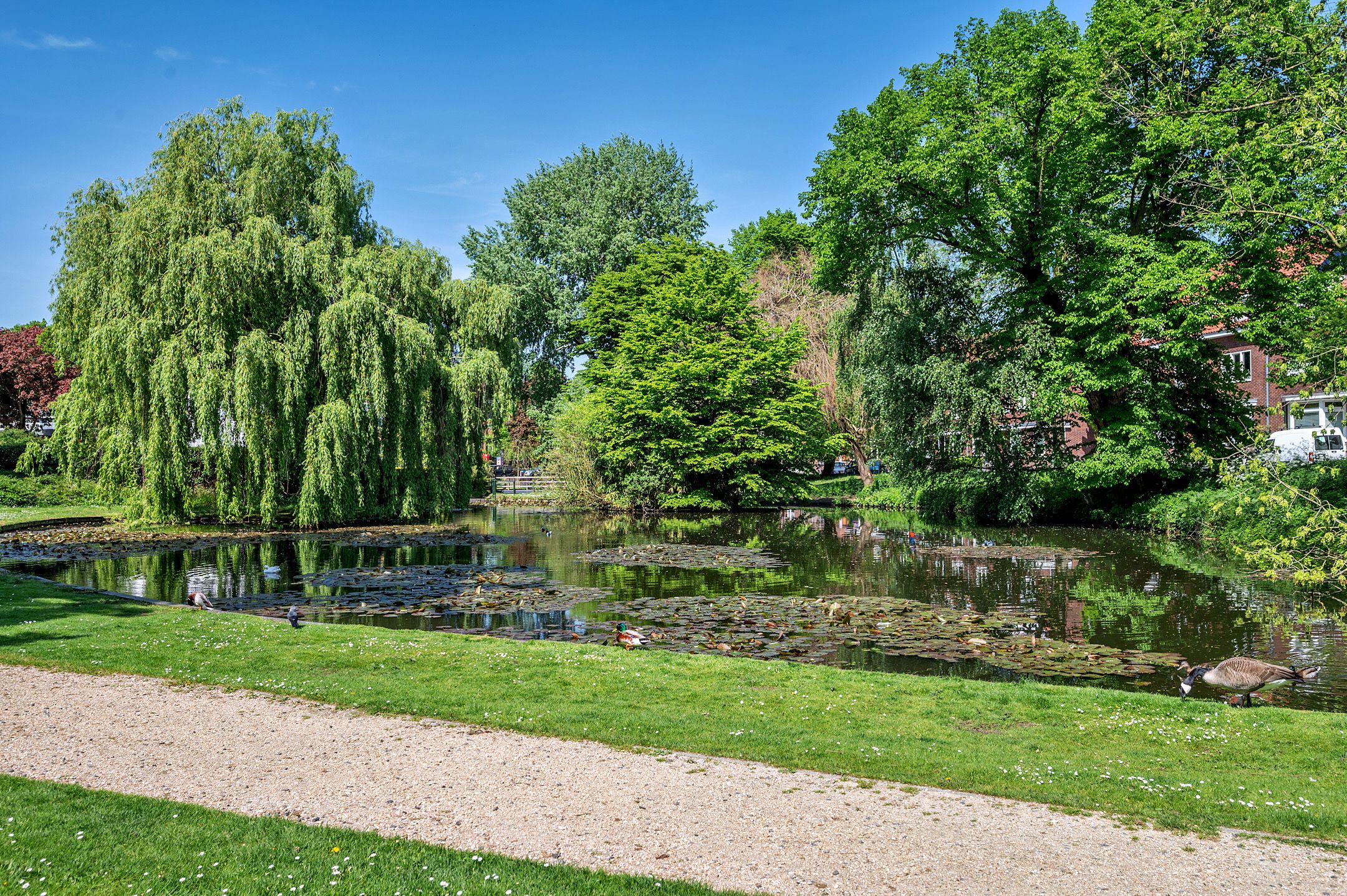 Foto 27 van Panhuisstraat 43