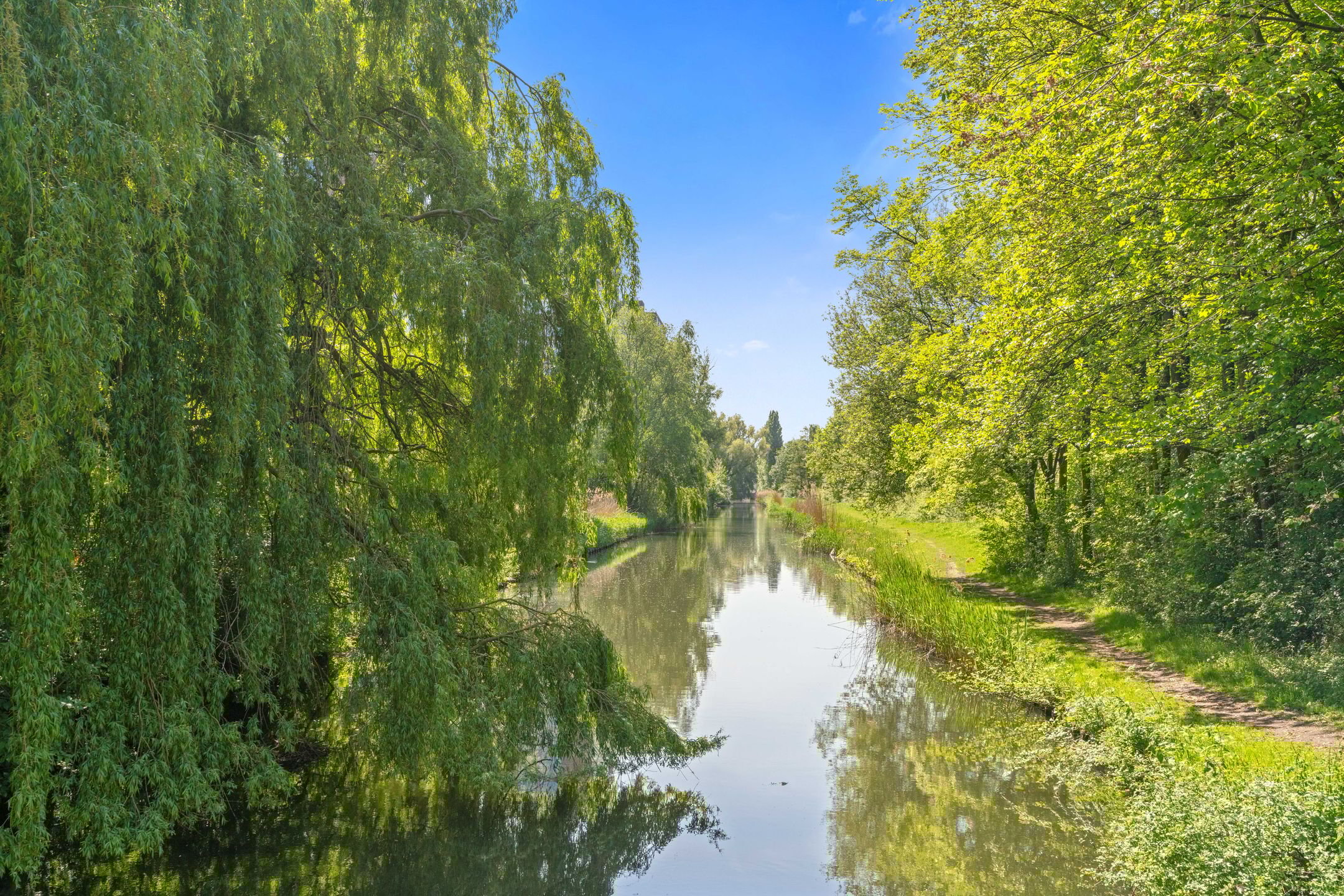 Foto 30 van Maassluisstraat 18