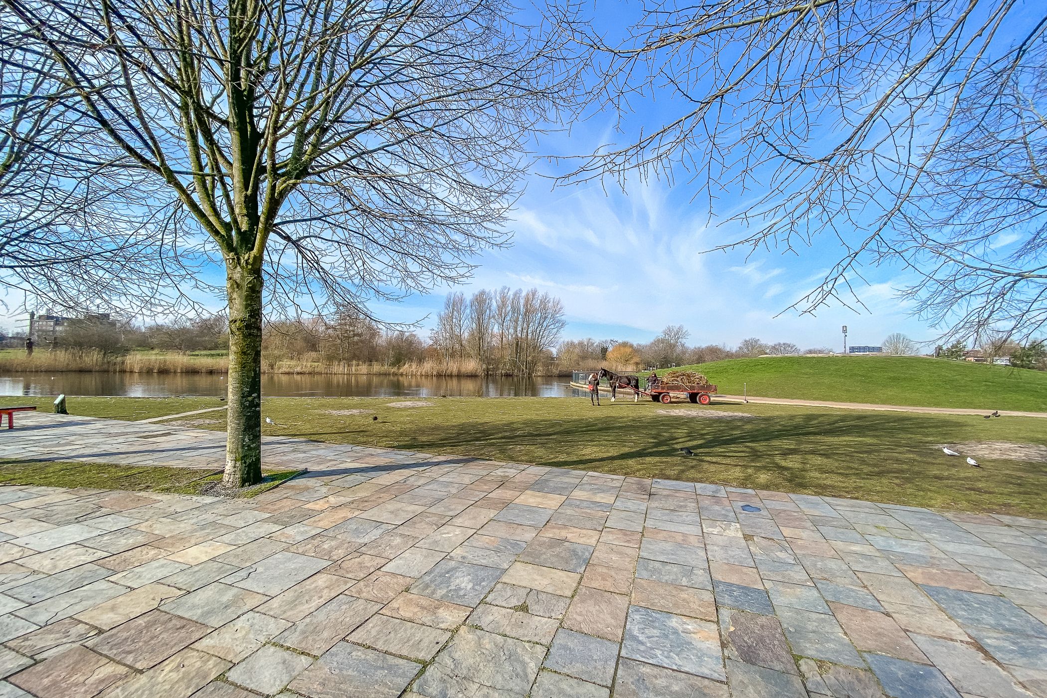 Foto 48 van Bekkerstraat 102