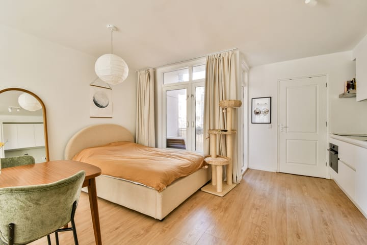 Foto 11 van Eerste Keucheniusstraat 10-1