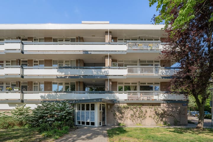 Foto 1 van Bolestein 526