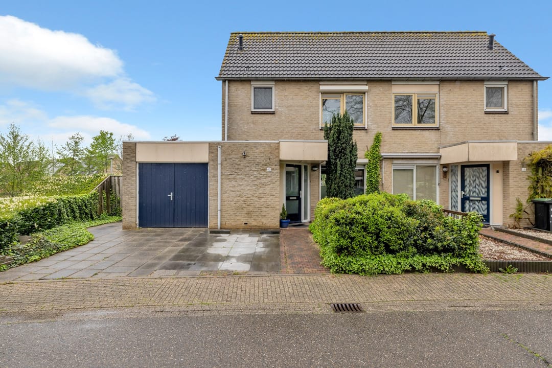 Foto 1 van Golden Delicious 60