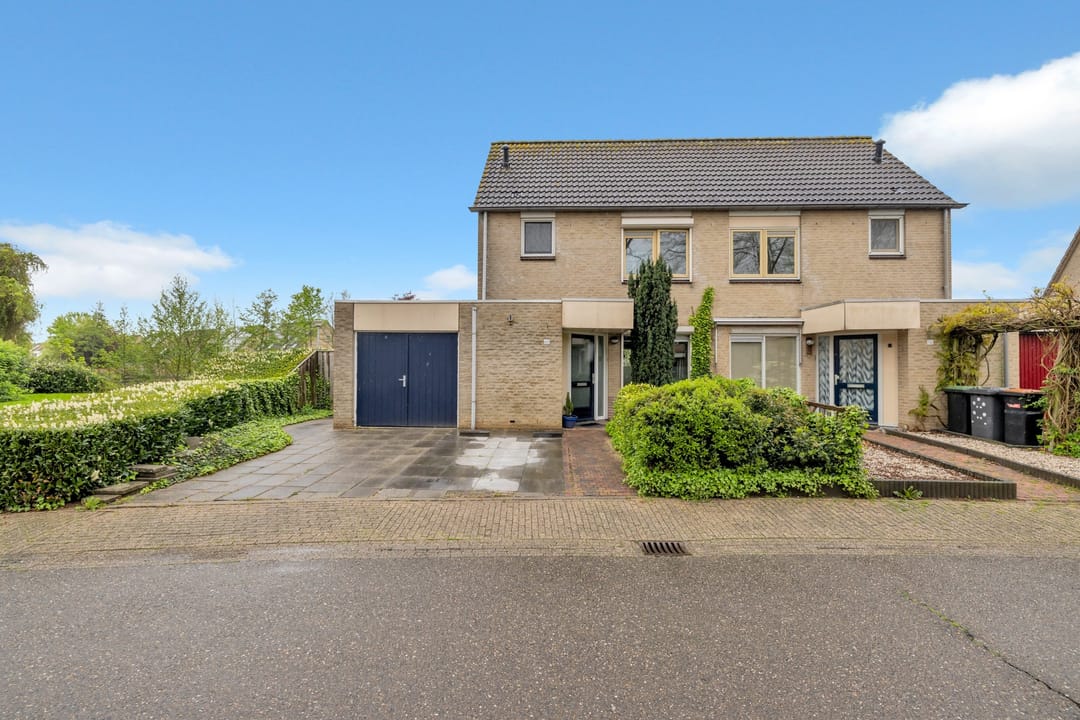 Foto 8 van Golden Delicious 60