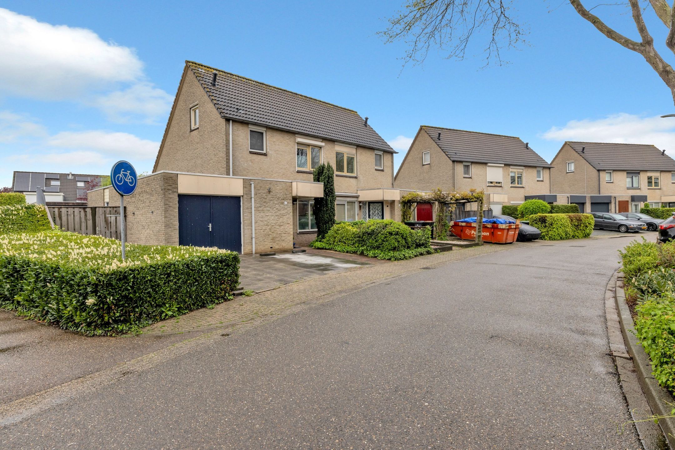 Foto 6 van Golden Delicious 60