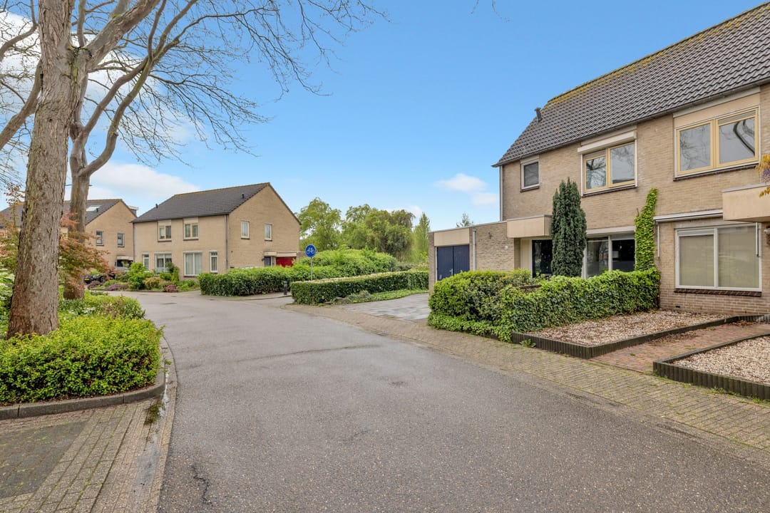 Foto 7 van Golden Delicious 60