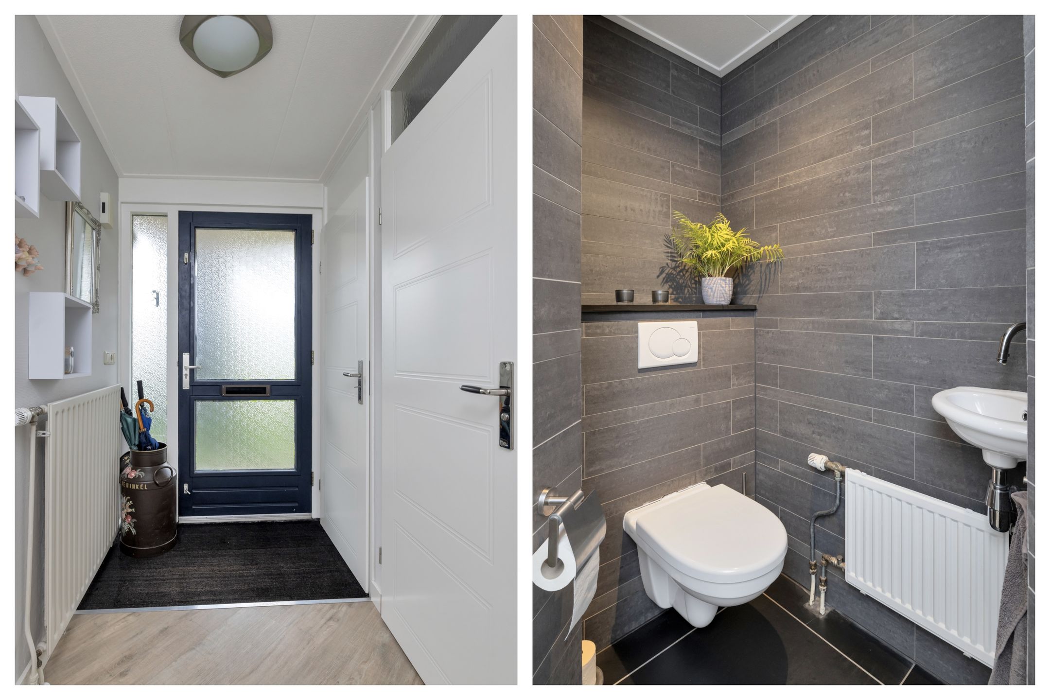 Foto 9 van Golden Delicious 60