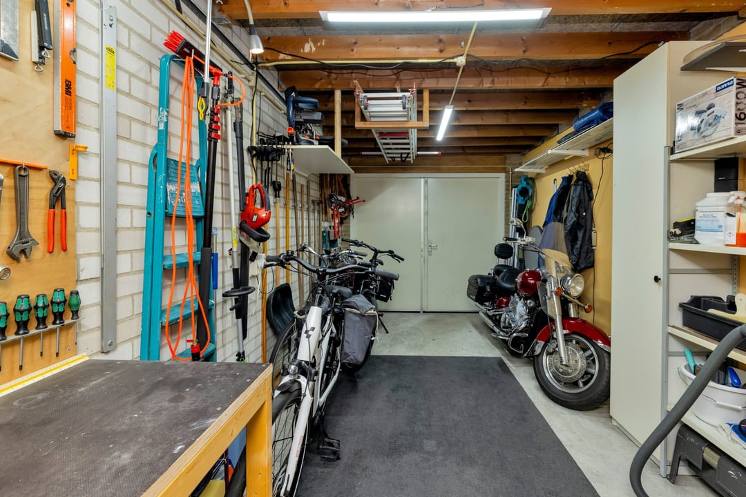 Foto 47 van Golden Delicious 60