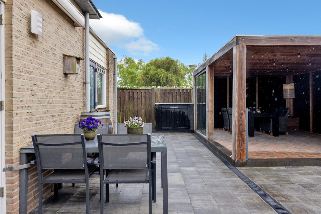 Foto 46 van Golden Delicious 60