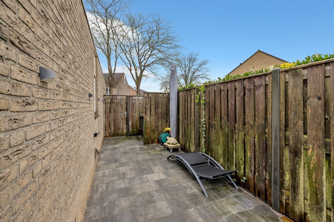 Foto 43 van Golden Delicious 60