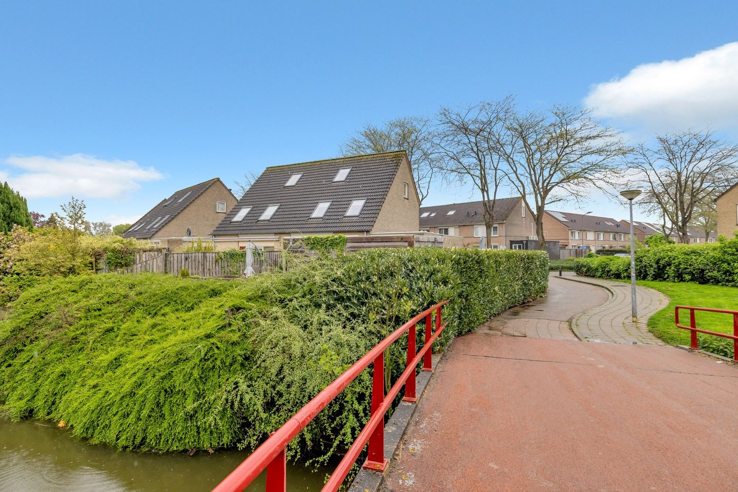 Foto 49 van Golden Delicious 60