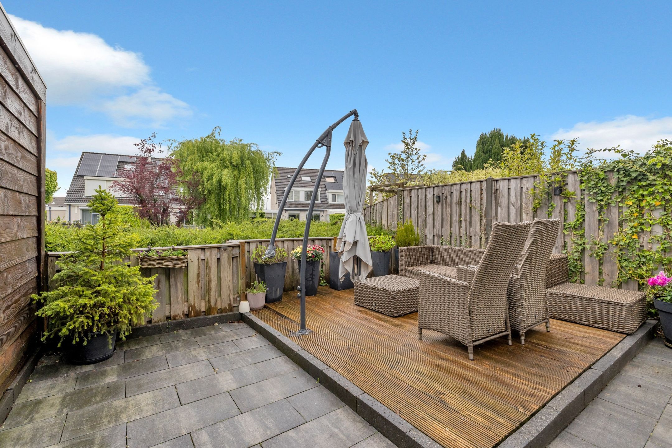 Foto 42 van Golden Delicious 60