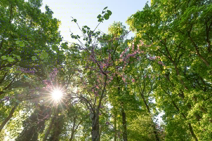 Foto 30 van Rading 16-18