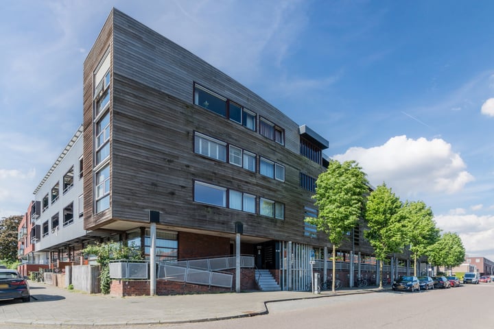 Dommelstraat 219