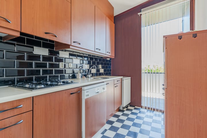 Foto 10 van Dommelstraat 219