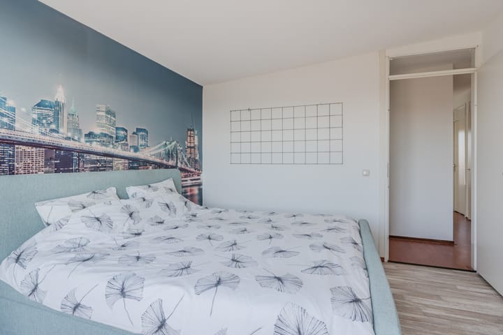 Foto 14 van Dommelstraat 219