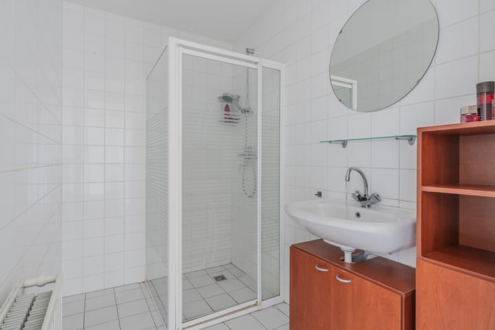 Foto 19 van Dommelstraat 219