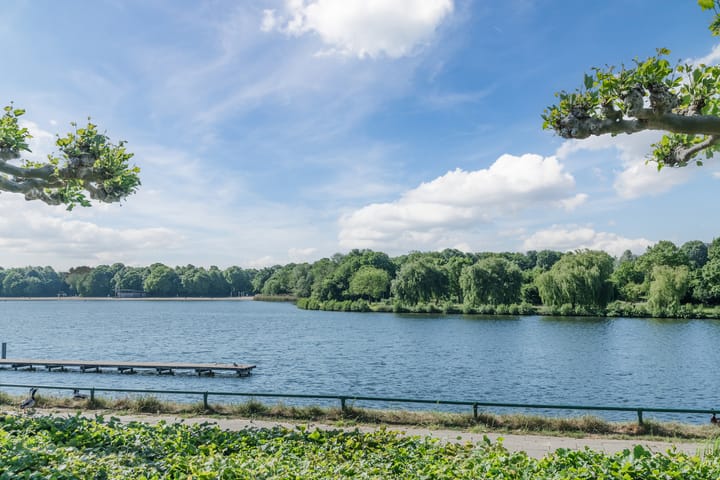 Foto 23 van Dommelstraat 219