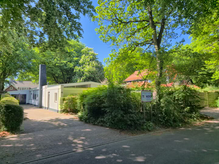 Foto 1 van Mezenlaantje 2