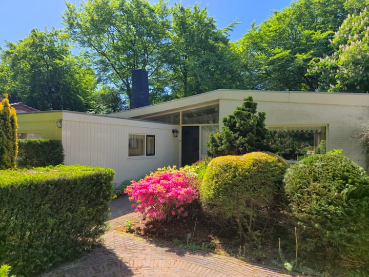 Foto 2 van Mezenlaantje 2