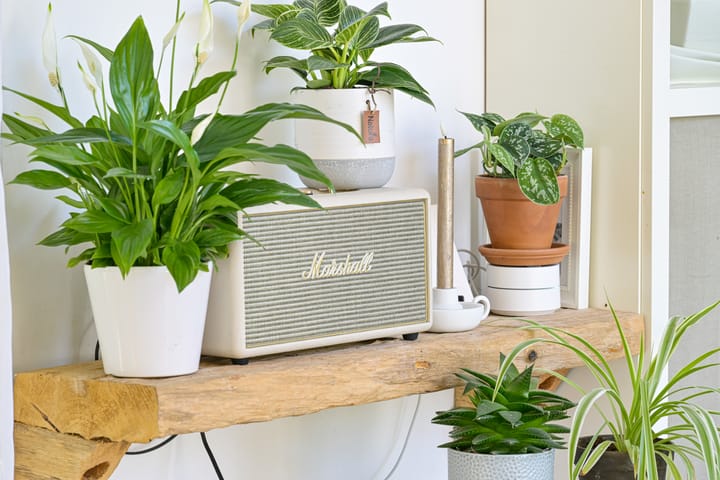 Foto 20 van Crooswijksebocht 72