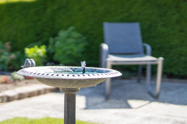 Photo 25 of Burg. Coonenstraat 14