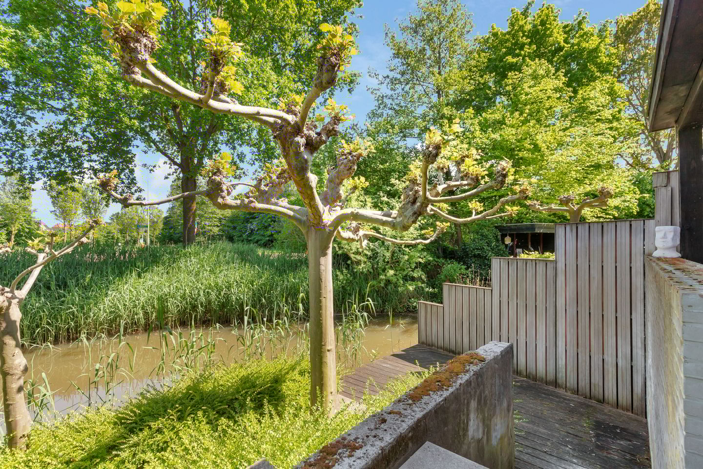 Foto 25 van Kostverloren 17