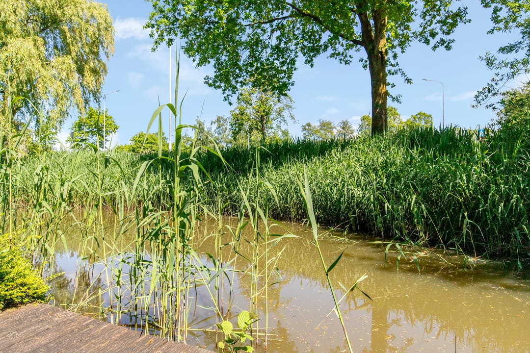 Foto 28 van Kostverloren 17