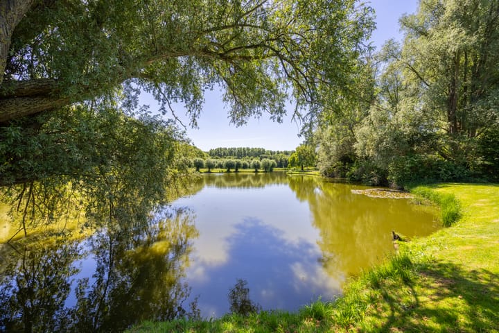 Photo 28 of Koperslager 34