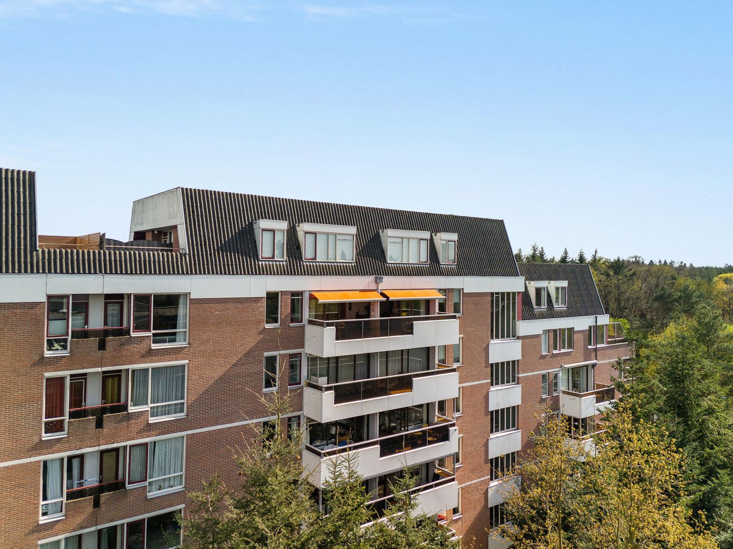 Foto 5 van Putterlaan 153