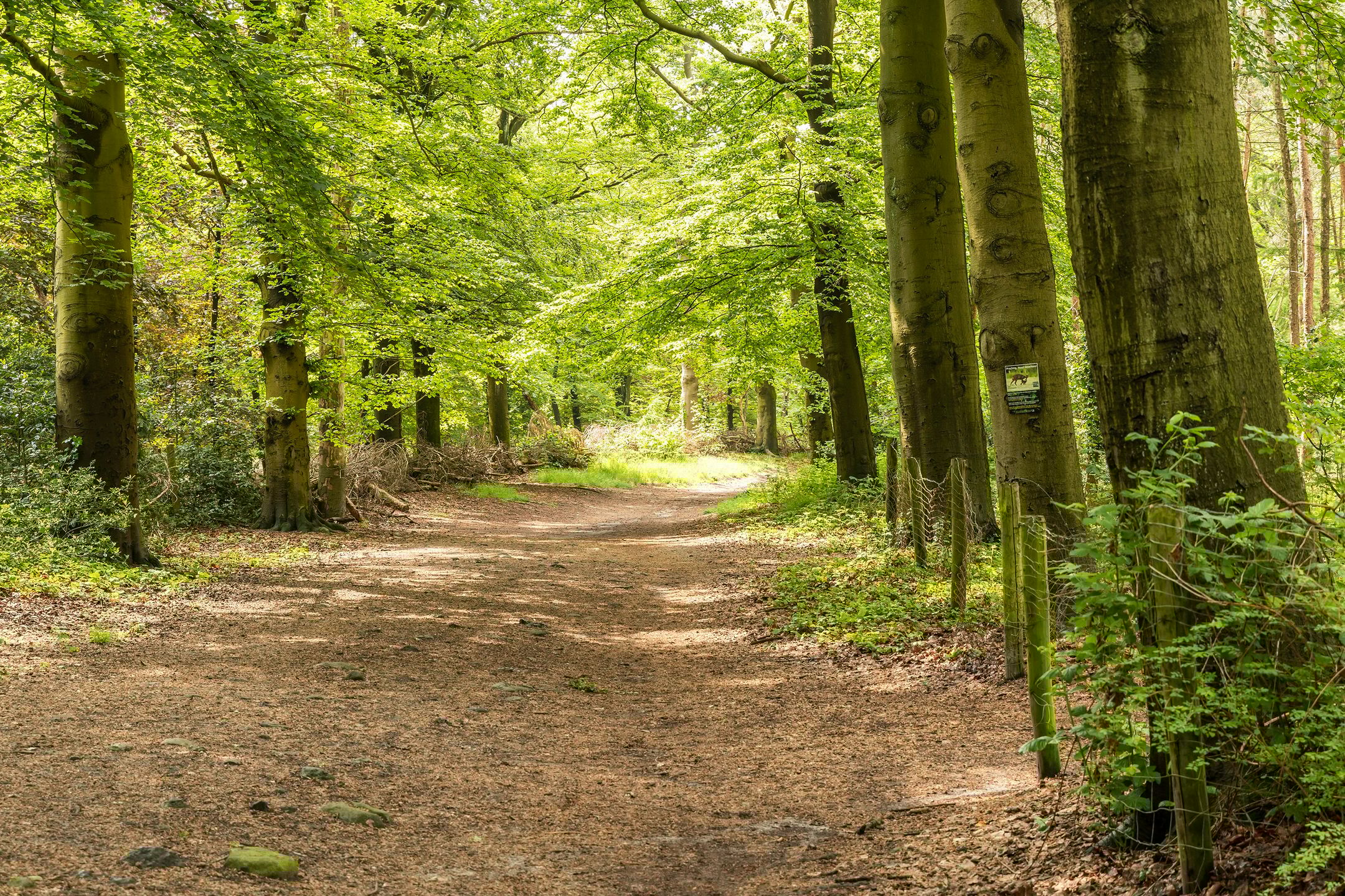 Foto 24 van Putterlaan 153