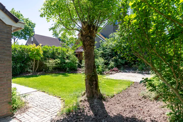 Foto 8 van René van Oranjestraat 5