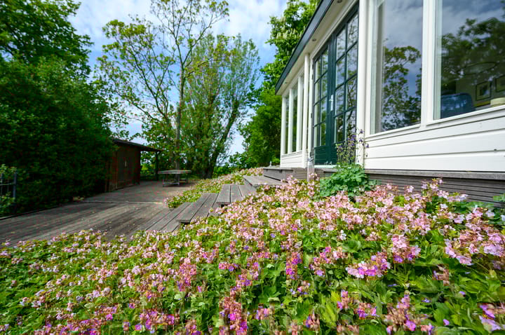 Foto 63 van Moerbeek 3