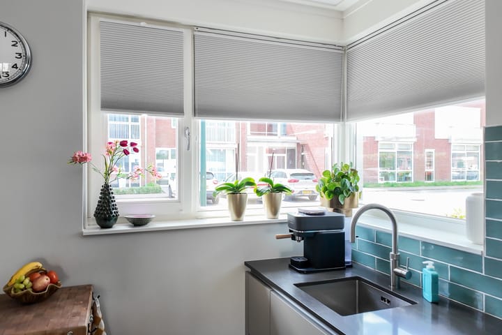 Photo 11 of Zadelmaker 16