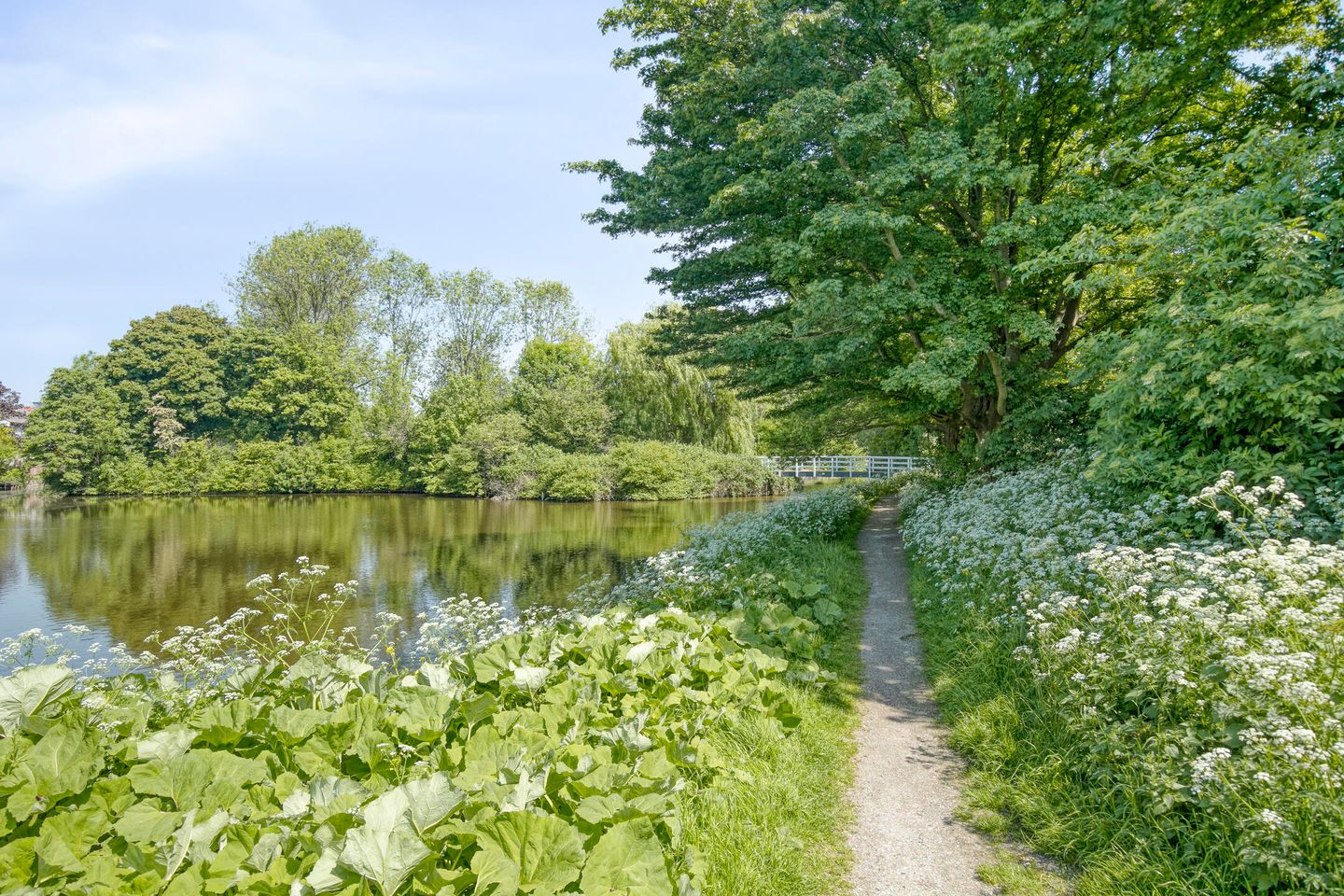 Photo 29 of Vlaardingerdijk 123-A