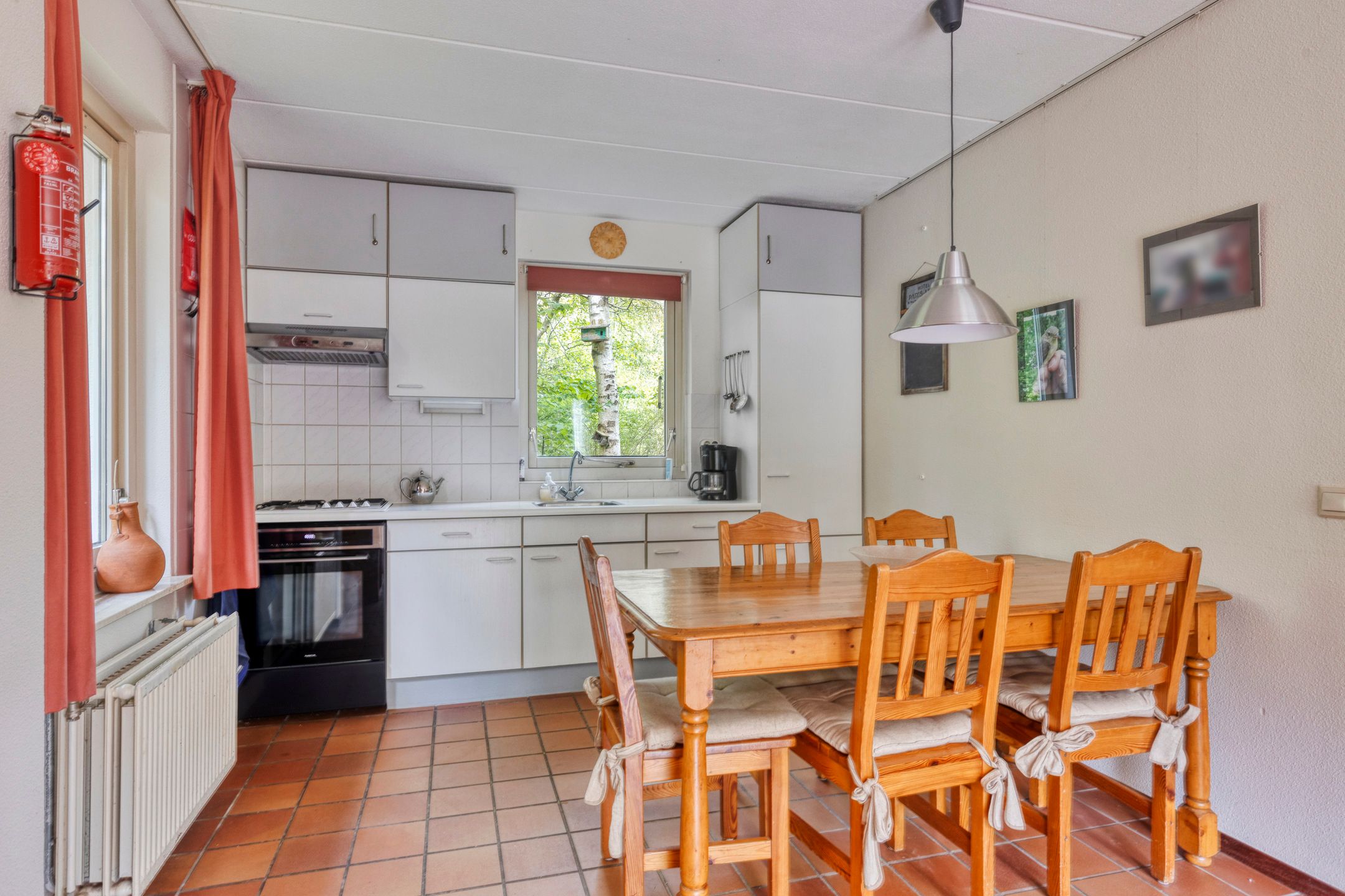 Photo 3 of De Rug 3-164