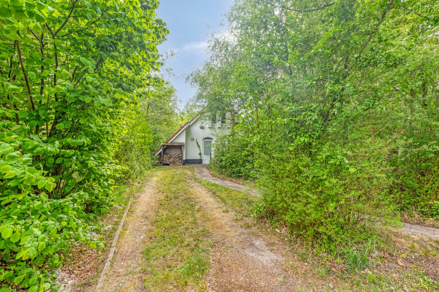 Photo 4 of De Rug 3-164