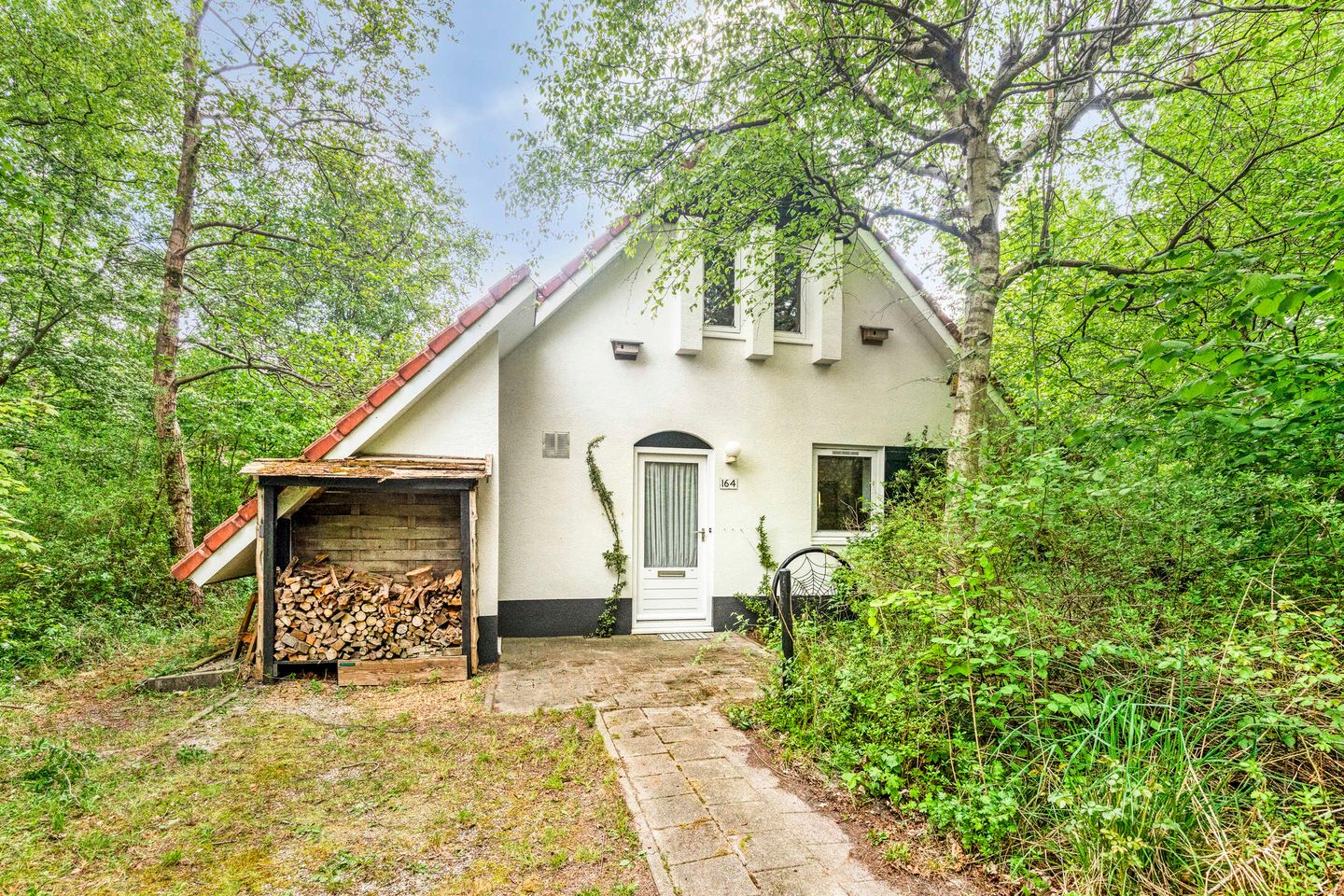 Photo 5 of De Rug 3-164