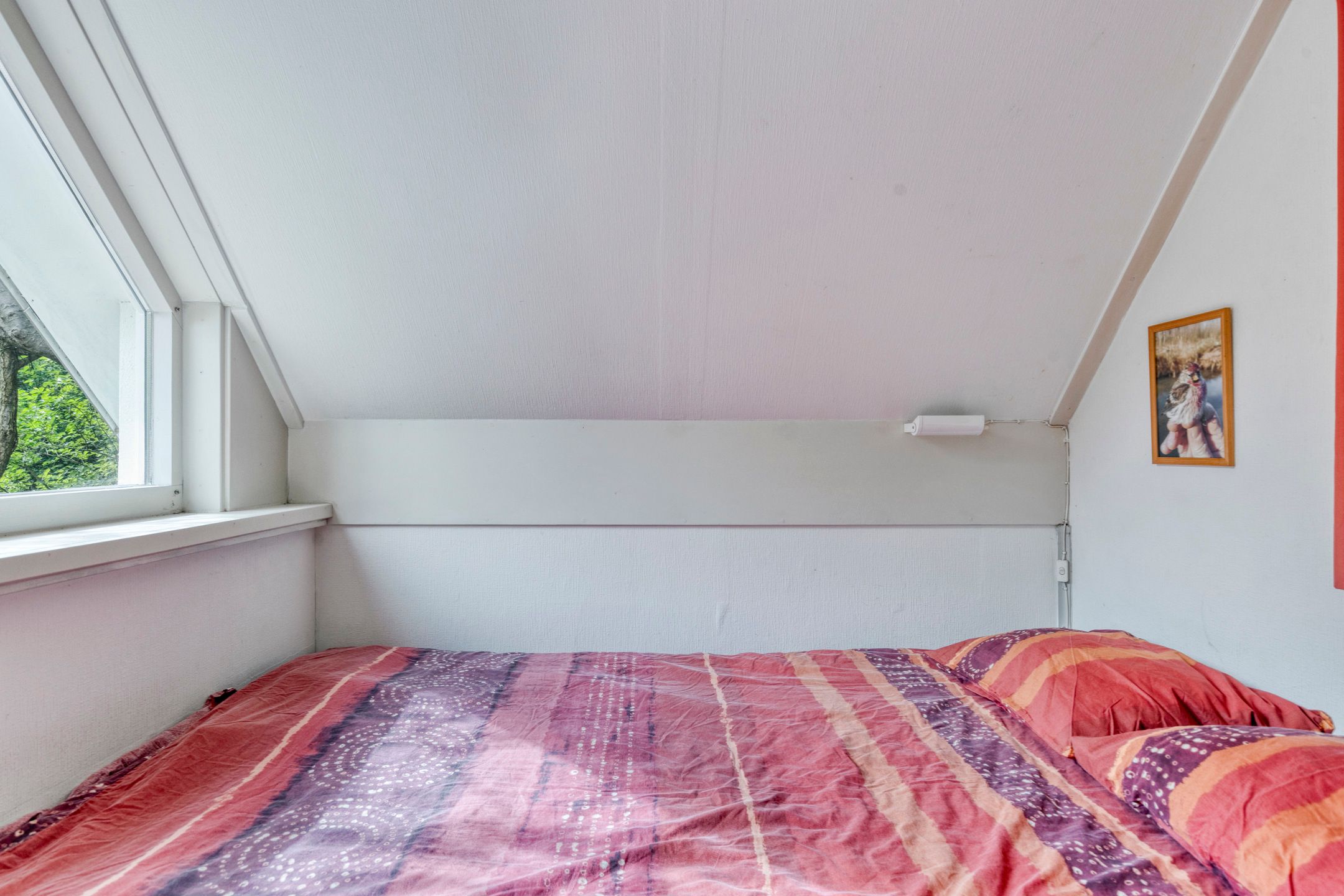 Photo 12 of De Rug 3-164