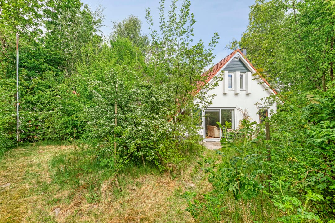 Photo 22 of De Rug 3-164