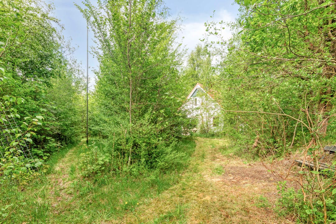 Photo 23 of De Rug 3-164