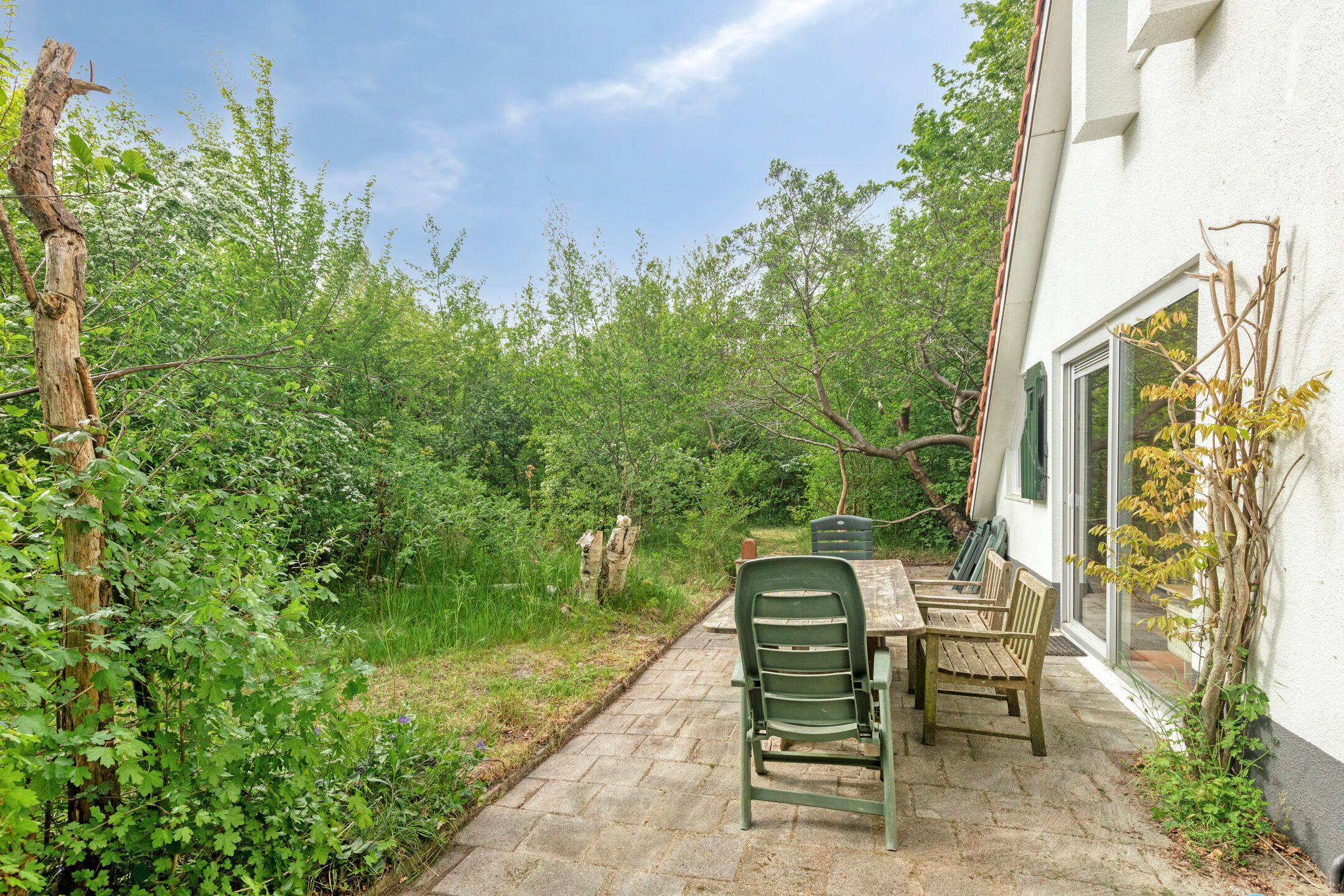 Photo 24 of De Rug 3-164