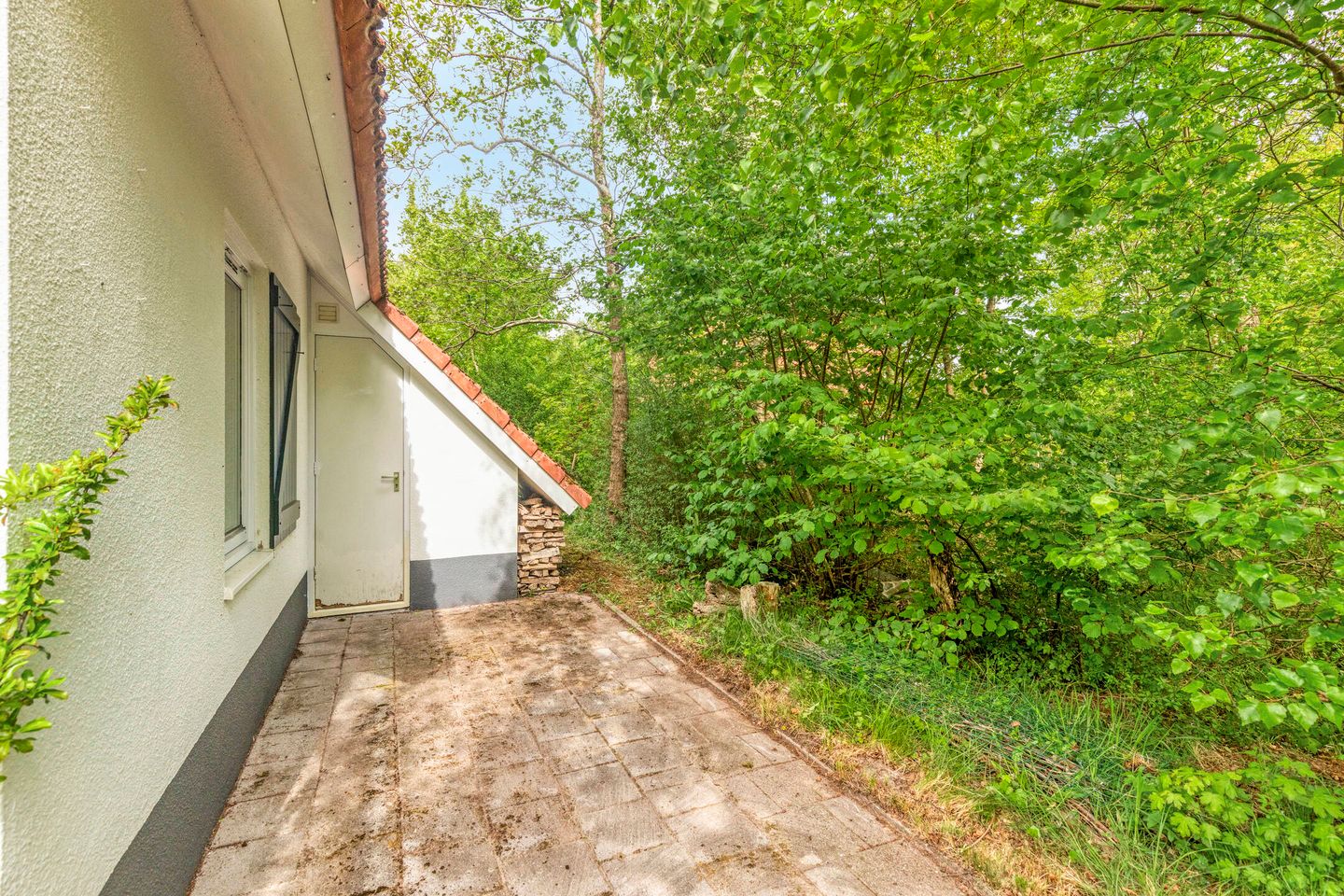 Photo 25 of De Rug 3-164